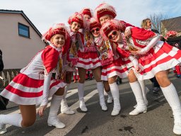 Faschingszug Pressath 2025_144
